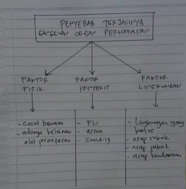 Soal SBO TV 10 Agustus 2020 Kelas 5 dan 6